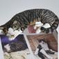 Preview: Katzenurne S2363 - LK0151 nach Foto